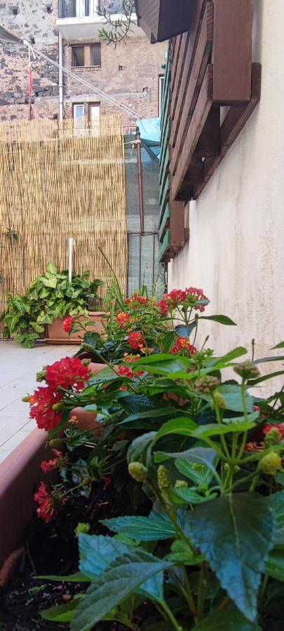 Downtown Vicino Al Duomo Apartment Catania Exterior photo